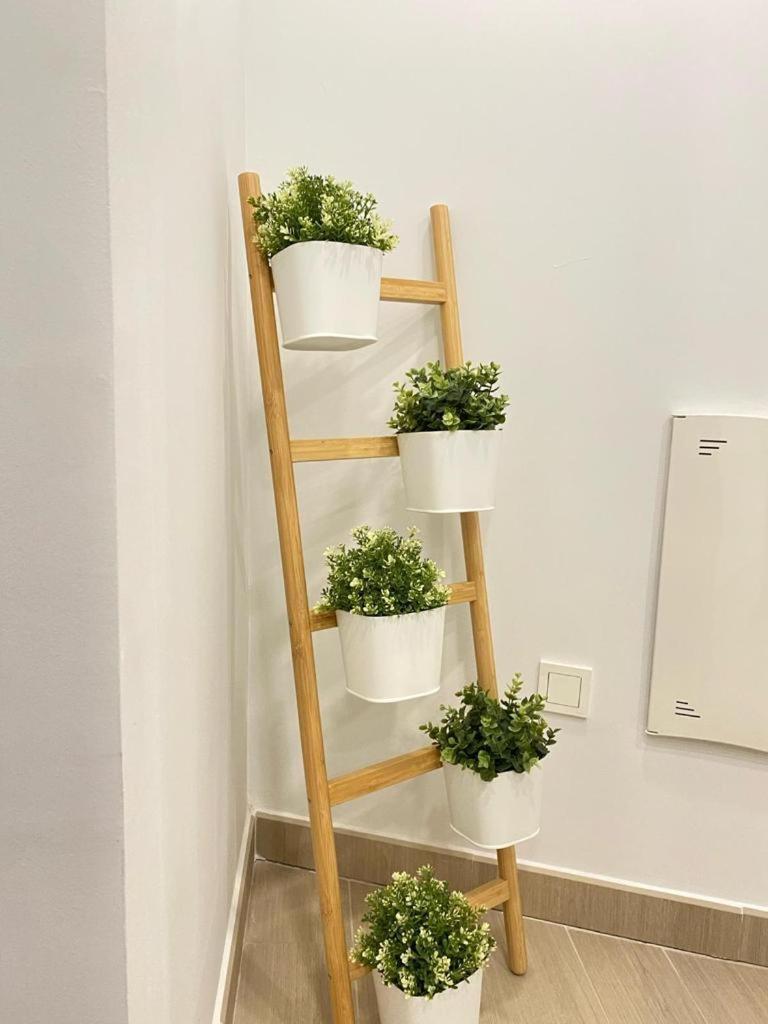Brisa Puerto Marina Apartments Benalmádena Dış mekan fotoğraf
